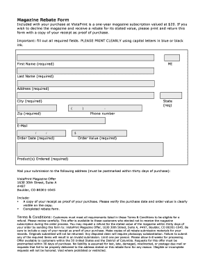 Form preview picture