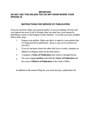 Georgia Service by Publication Divorce Form