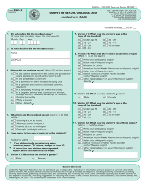 US Justice Department Sexual Violence Incident Form