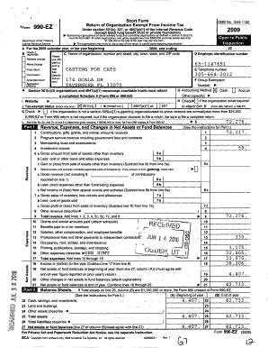 Form 990-EZ 2009