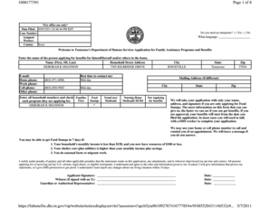 Tennessee Family Assistance Application