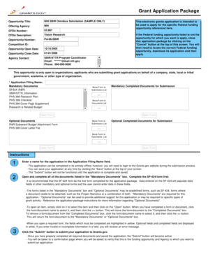 NIH SBIR Omnibus Solicitation Grant Application