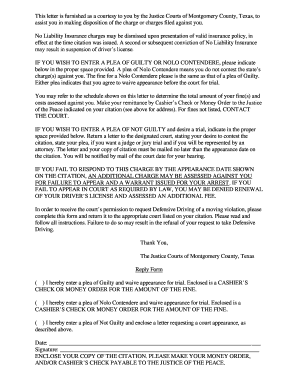 Texas Traffic Citation Plea and Payment Form