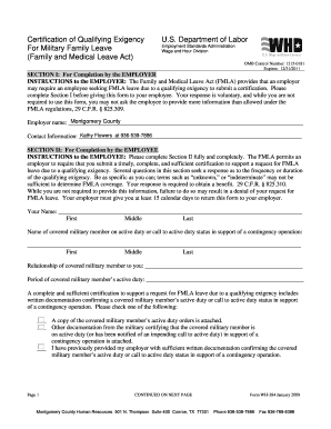 Certification of Qualifying Exigency Form WH-384