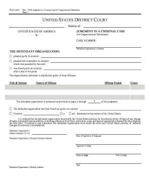 Judgment in a Criminal Case for Organizational Defendants