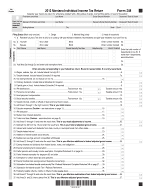 Montana Individual Income Tax Return Form 2M