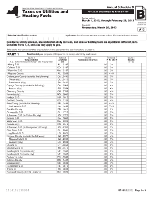 New York State Annual Schedule B