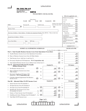 PA S Corporation/Partnership Information Return