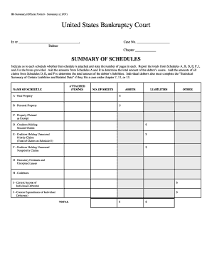 US Bankruptcy Court Form B6 Summary