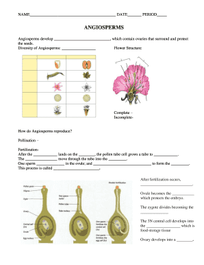 Angiosperms Reproduction Worksheet