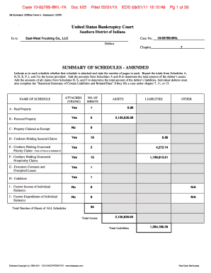 US Bankruptcy Court Form 6 Summary