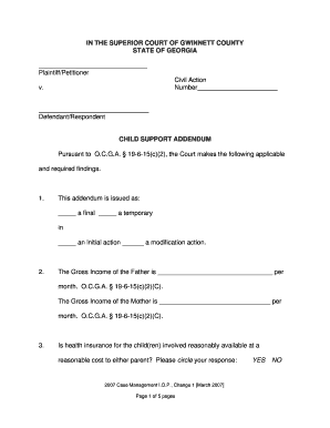 Georgia Child Support Addendum