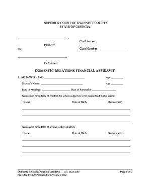 Georgia Domestic Relations Financial Affidavit