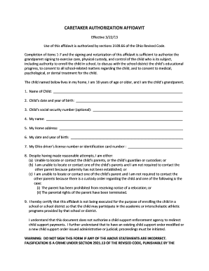 Caretaker Authorization Affidavit