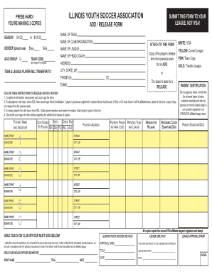 Form preview picture