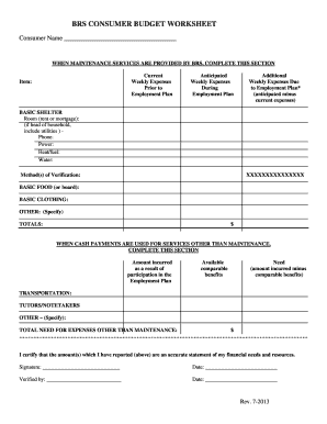 BRS CONSUMER BUDGET WORKSHEET Rev 11-2012