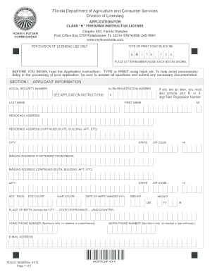 Form preview picture