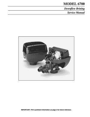 Downflow Brining Service Manual - Vibrant Water