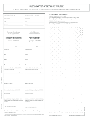 Form preview picture