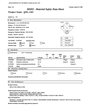 Form preview picture