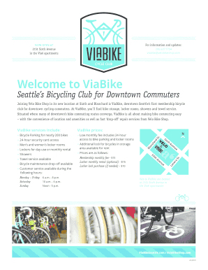 Via6 ViaBike Flyer v4