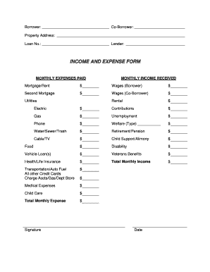 INCOME AND EXPENSE FORM - George Russo and Associates PC