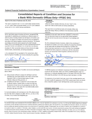 FFIEC 041 Consolidated Reports of Condition and Income