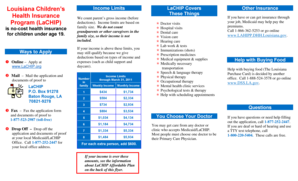 Louisiana Children's Health Insurance Program Application