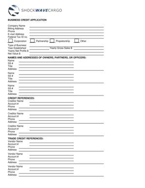 Business Credit Application