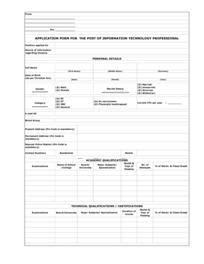 IT Professional Application Form