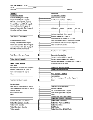 Farm Financial Statement Template