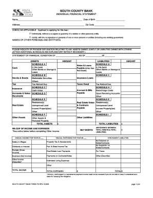 South County Bank Individual Financial Statement