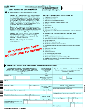 US Census Bureau Form NC-99003