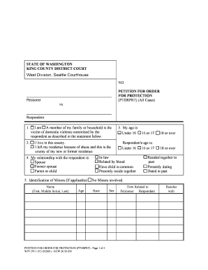 Washington State Domestic Violence Protection Order