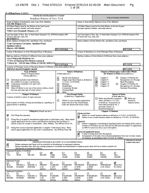 US Bankruptcy Court Voluntary Petition