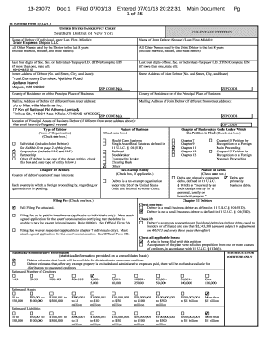 US Bankruptcy Voluntary Petition