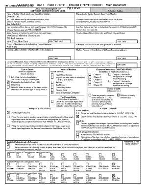 US Bankruptcy Court Voluntary Petition