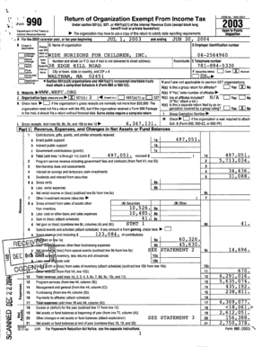 IRS Form 990 2003