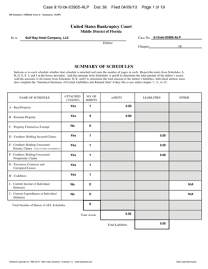 Bankruptcy Summary of Schedules