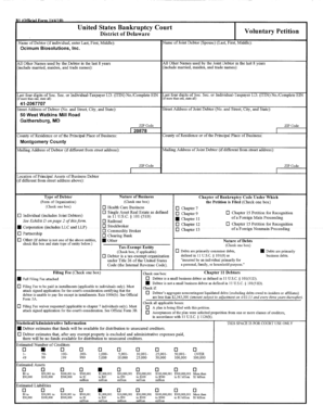 US Bankruptcy Voluntary Petition