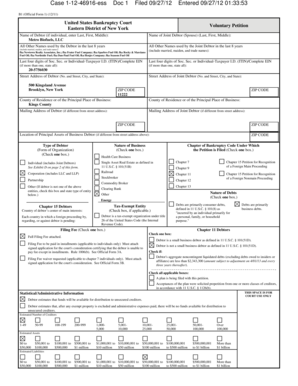 US Bankruptcy Voluntary Petition