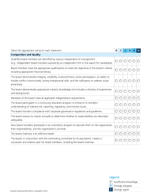 Board Performance Evaluation Form