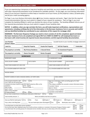 Uniform Borrower Assistance Form