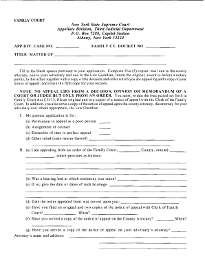 New York Family Court Appeal Application