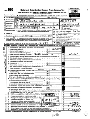 IRS Form 990 2004