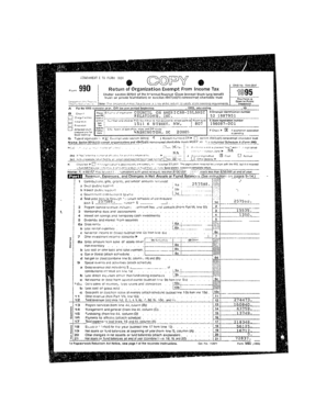 Form 990 Tax Exempt Organization Return