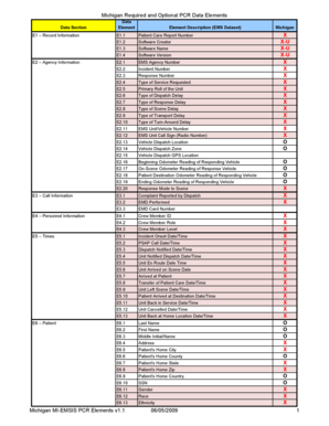 Michigan EMS Patient Care Report Form