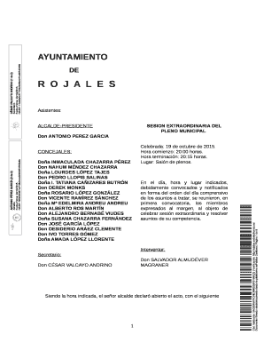 Rojales Municipal Meeting Minutes
