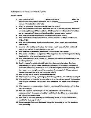 Study Questions for Nervous and Muscular Systems Nervous ... - sarah
