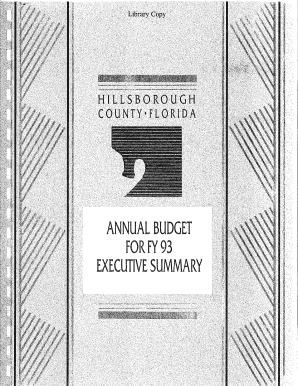 ANNUAL BUDGET EXECUTIVE SUMMARY - Hillsborough County